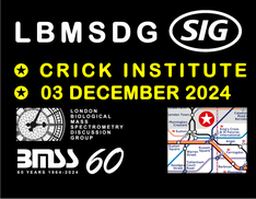 London Biological MS Discussion Group - December 2024